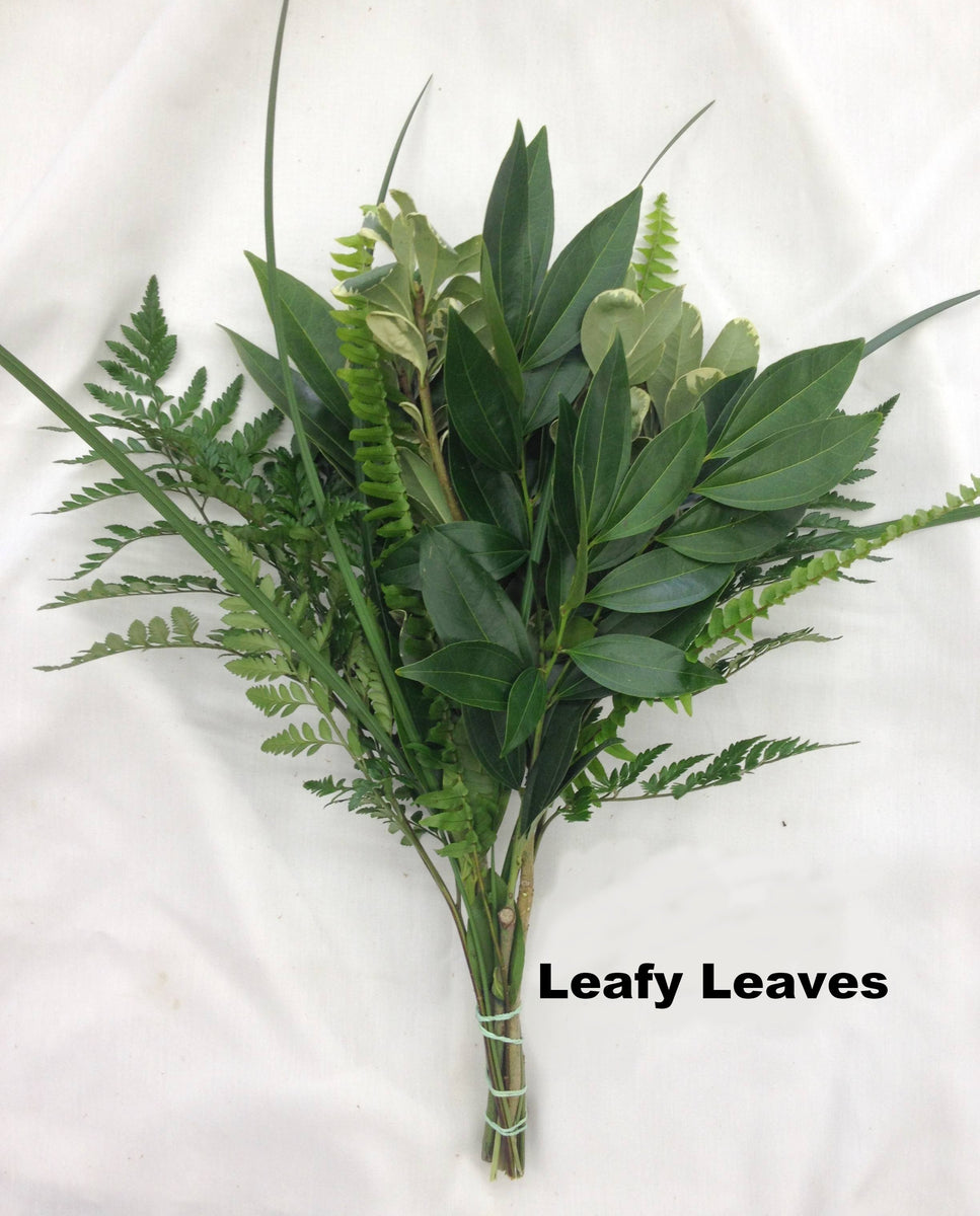 Leafy Leaves Bouquet 15 pack