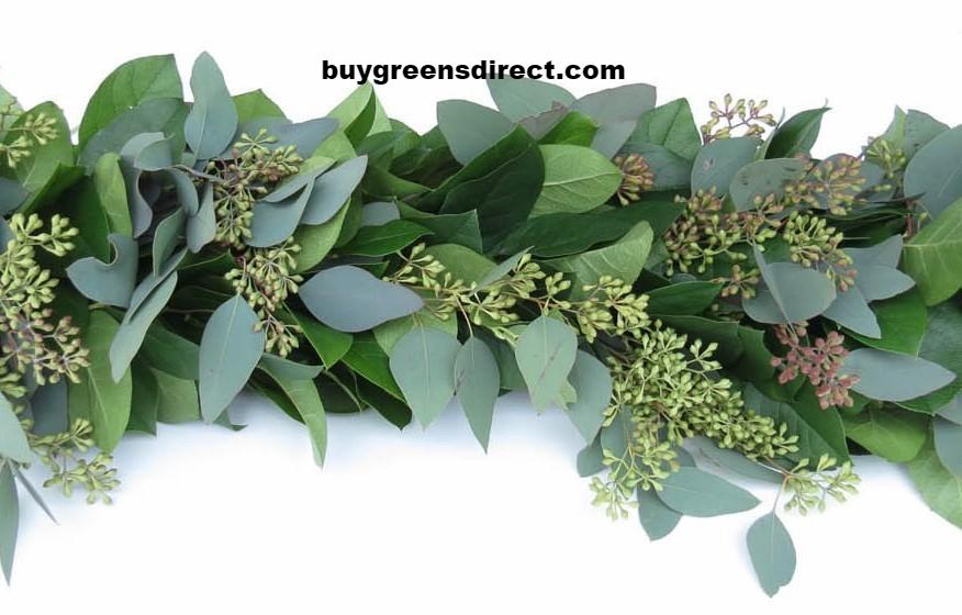 25' FRESH Salal & Eucalyptus Garland