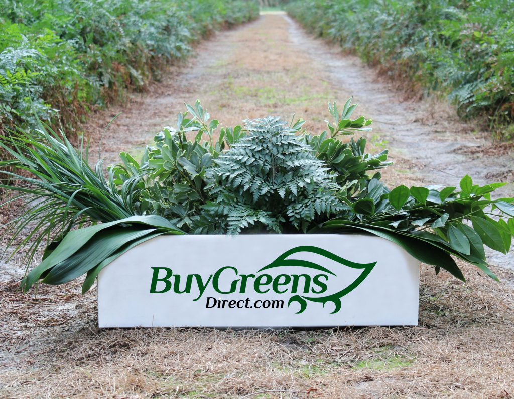 Buygreensdirect.com