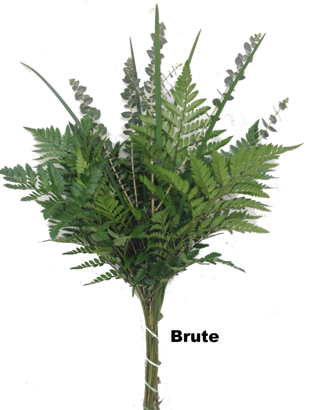 Brute Bouquet - 15 pack