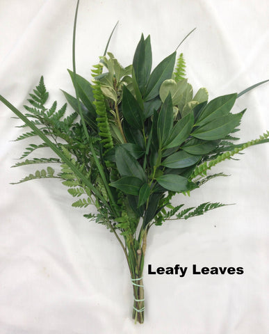 Leafy Leaves Bouquet - 15 pack