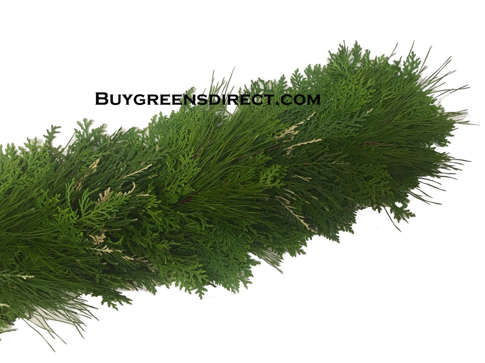 25' FRESH Arbavida, Variegated Leyland Cypress & Short Needle Pine Garland