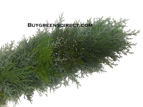 25' FRESH Carolina Sapphire, Blueberry Cedar, Arbavida & Leyland Cypress Garland