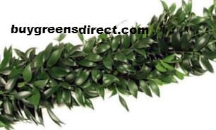 25' FRESH Nagi Garland