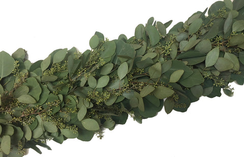 25' FRESH Silver Dollar & Seeded Eucalyptus Garland