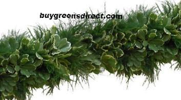 25' FRESH Tree Fern & Variegated Pitt Garland