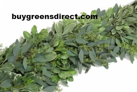 25' FRESH Variegated Pitt & Eucalyptus Garland